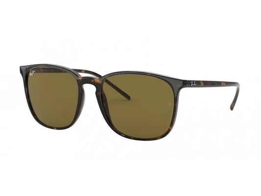 Ray Ban RB4387F-902-73-55