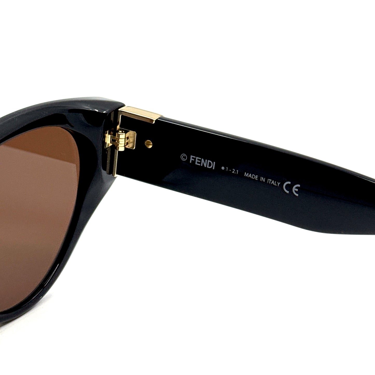 FENDI Sunglasses FE40035I 01E